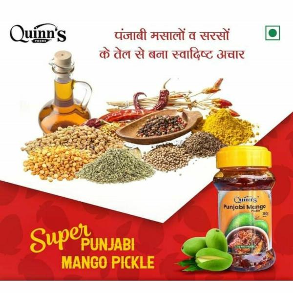 Quinn's vinegar Free Homemade Punjabi Mango pickle 500 gm JioMart