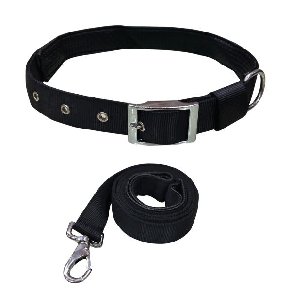 Emily Pets Belt and Leash Nylon with Padding Pet Neck Belt for Dog (24