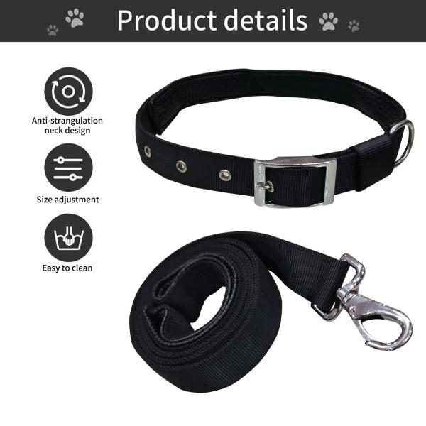 Emily Pets Belt and Leash Nylon with Padding Pet Neck Belt for Dog (24