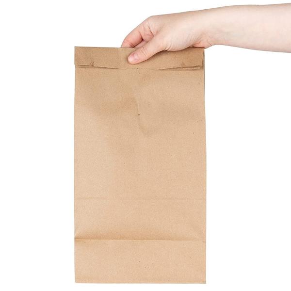 MAPPA 1 KG Capacity Kraft Brown Paper Bags Large Paper Lunch