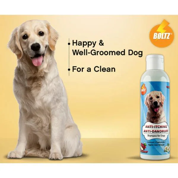 Can I Use Dandruff Shampoo On My Dog