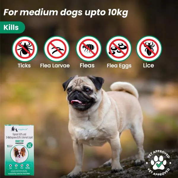 Can Lice Shampoo Kill Fleas On Dogs