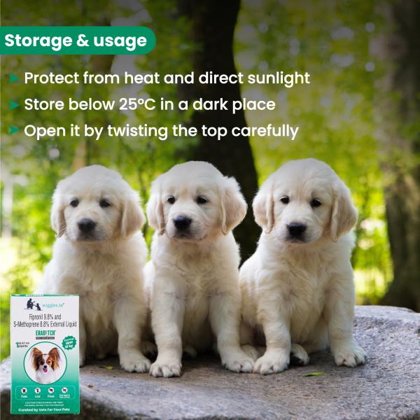 What Is The Best Treatment For Dog Lice