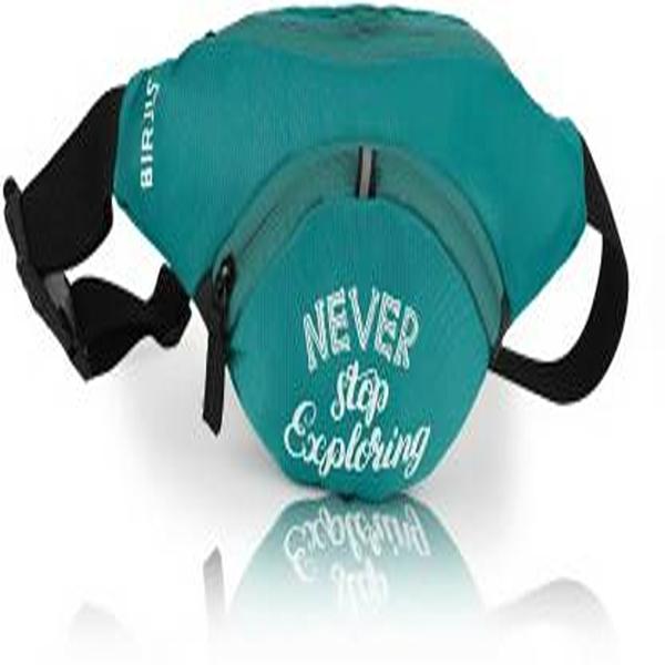 BIRJIS WAIST POUCH BAG WAIST POUCH (Green) JioMart