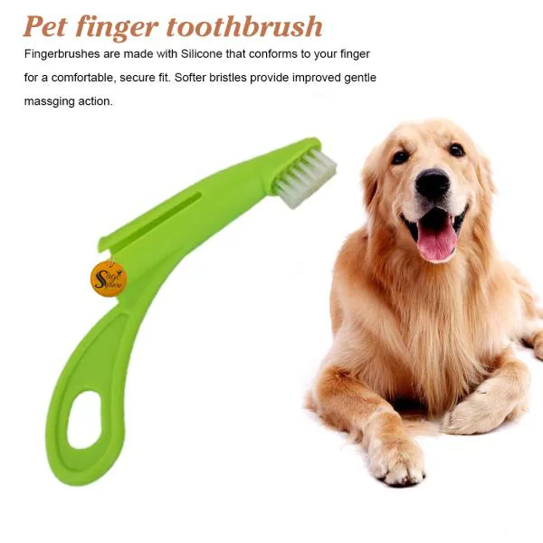 Are Cat Or Dog Mouths Cleaner