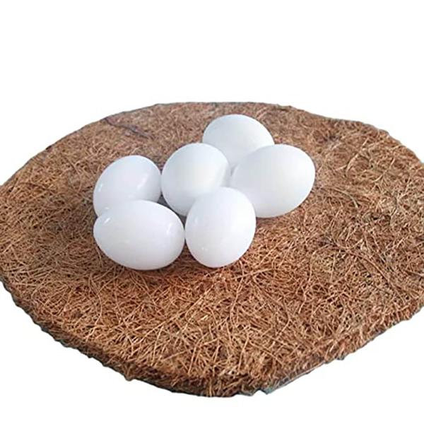 Pets Wizard Fake Plastic Pigeon Eggs For Hatch Incubation Breeding