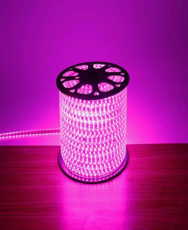 Astern Pink Rice Lights 1200 LED/10.16m JioMart