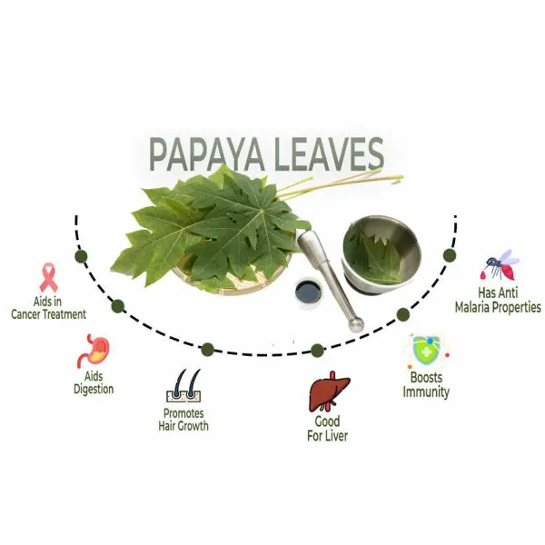 Dr Kumar's Lifestyle Center Papaya Leaf Extract for Blood Platelets