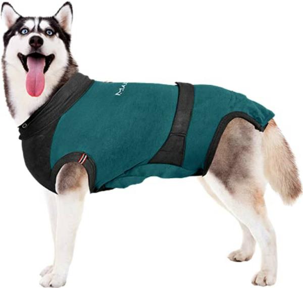 Maxx Peacock Blue And Grey E Collar Alternative Medical Pet Clothing