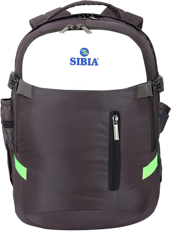 Sibia Grey Nylon Laptop Bags (35 L) JioMart