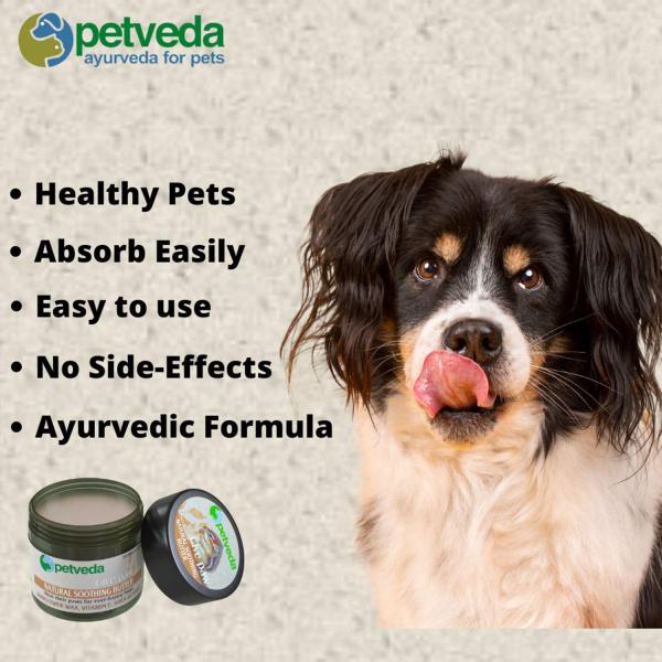Petveda Ayurvedic Paw Balm with Shea Butter, Cream, Wax, Butter for
