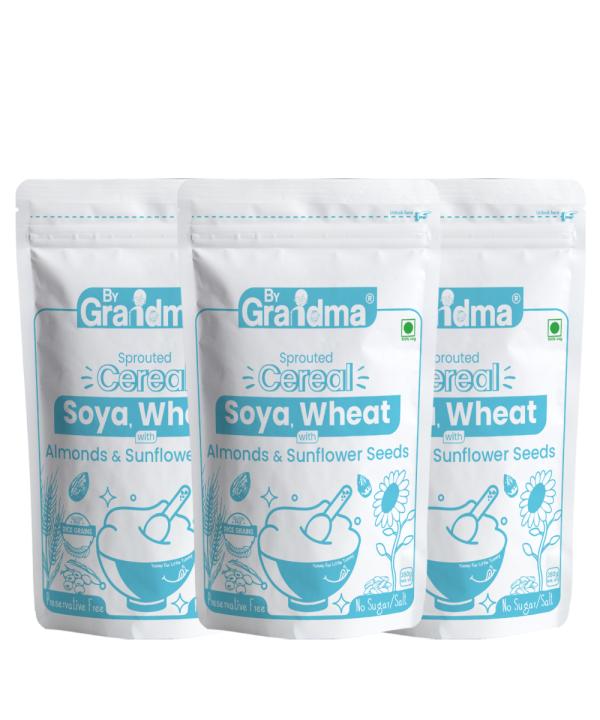 ByGrandma Soya and Wheat Baby Food 840 gm (Pack of 3 280 gm each
