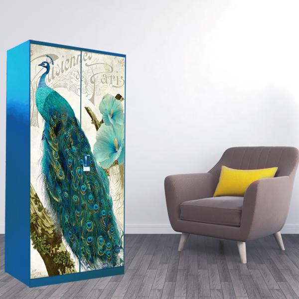 WallWear Almirah Stickers Self Adhesive Almirah Door Sticker