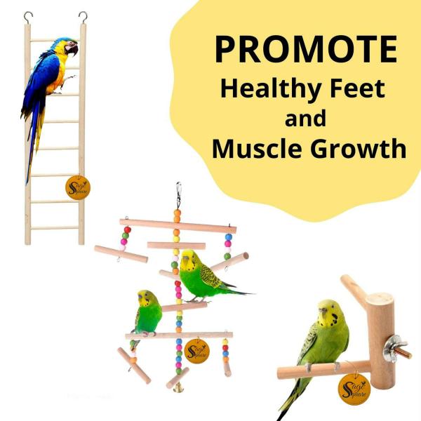 Sage Square Wooden Bird Toys Combo Breeding Box Ladder Wheel Swing Hanging For Small Birds JioMart