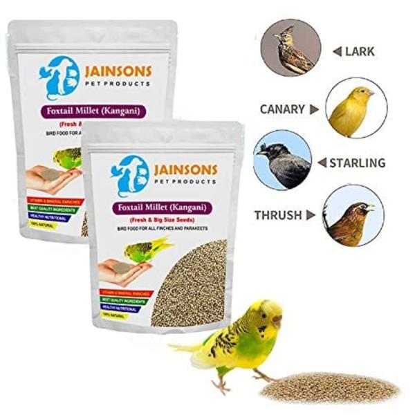 Jainsons Pet Products Kangni Seed Bird Food for Budgie, Parakeet