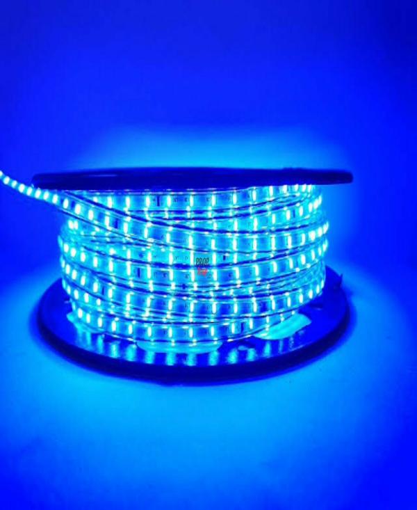 Astern Blue Rice Lights 800 LED/9.91m JioMart