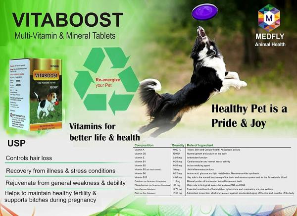 Medfly Healthcare Vitaboost Multivitamins and Minerals Supplement for Dogs  (Pack of 60 Tablets) - JioMart
