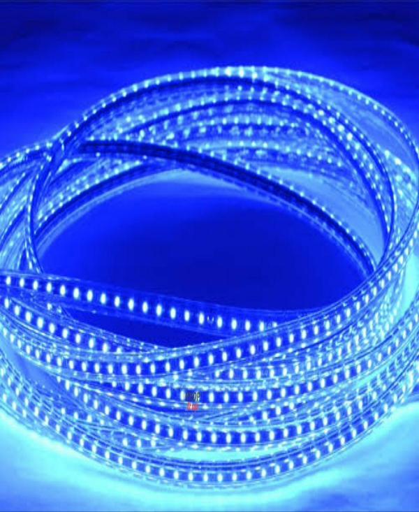 Astern Blue Rice Lights 800 LED/9.91inch JioMart