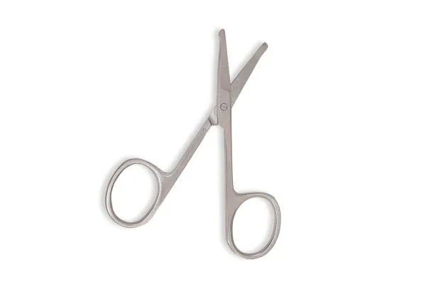 Verceys S-105 Rounded Nose Hair Scissors. Round Tip Scissor for Ear ...