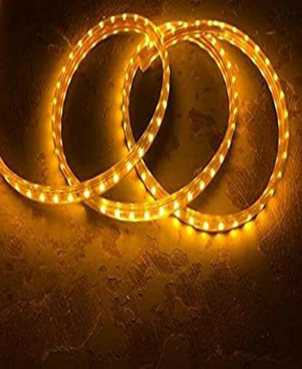 Astern Yellow Rice Lights 600 LED/5m JioMart