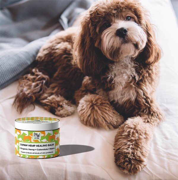 Paw Naturale 100g SUPAW HEMP HEALING BALM for dogs. Heals tick bites