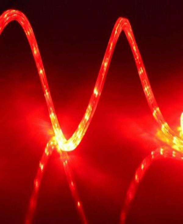 Astern Red Rice Light 880 LED/393inch JioMart