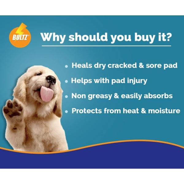 Can Coconut Oil Be Used On Dogs Paws