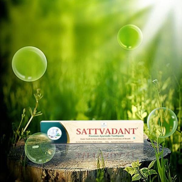 Sattvadant Premium Herbal Toothpaste JioMart