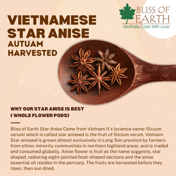 Bliss of Earth Vietnamese Star Anise 1kg Whole Spices, Chakri Phool