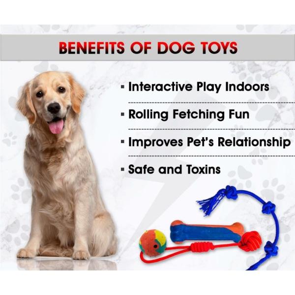 Are Nylon Dog Chews Safe