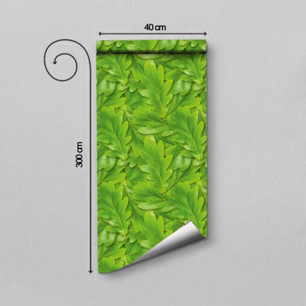 Bnezz Self Adhesive Wallpaper & Wall Sticker Model (GreenPatti) Pack of