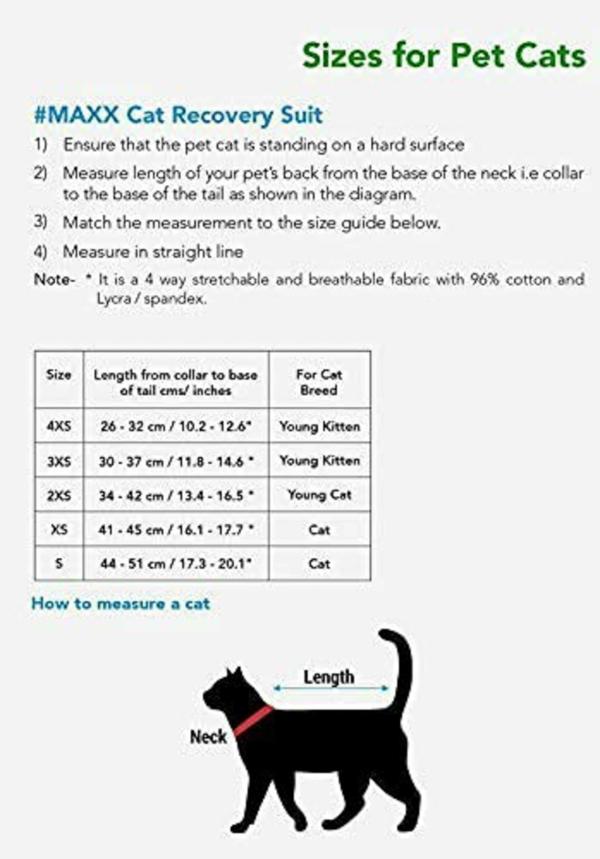 Maxx Pink And Grey E Collar Alternative Medical Pet Clothing Recovery