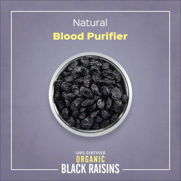 Renaush Organic Seedless Black Raisins/ Kishmish/Dried Fruit 100gm