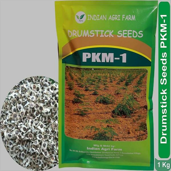 Moringa / Drumstick Seeds For Cultivation 250 Grms Appro 700 Seeds