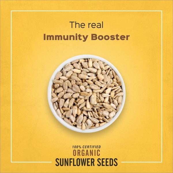 Renaush Organic Sunflower Seeds (Surajmukhi beej) 250gram Immunity