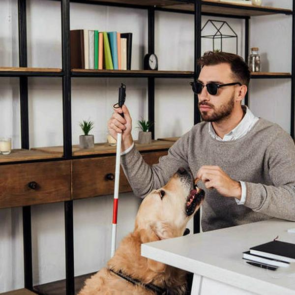 Paxmax 4 Folding Blind Walking Stick For Vision Impaired JioMart