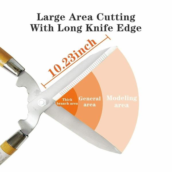 JD FRESH 12 Inch Plant Cutter Tools For Home Gardening Garden