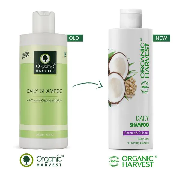 Daily Shampoo For Men & Women Use | Hair Care, Improves Hair Texture, Best  Organic Shampoo For Scalp Nourishment, Paraben & Sulphate Free - 500 ml -  JioMart