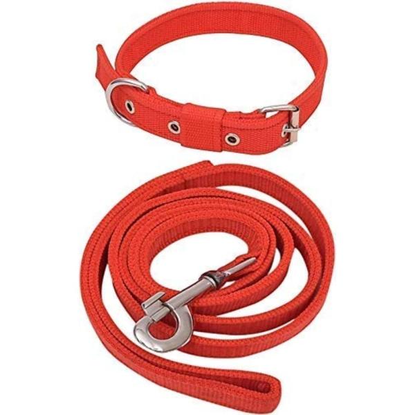 dog neck rope