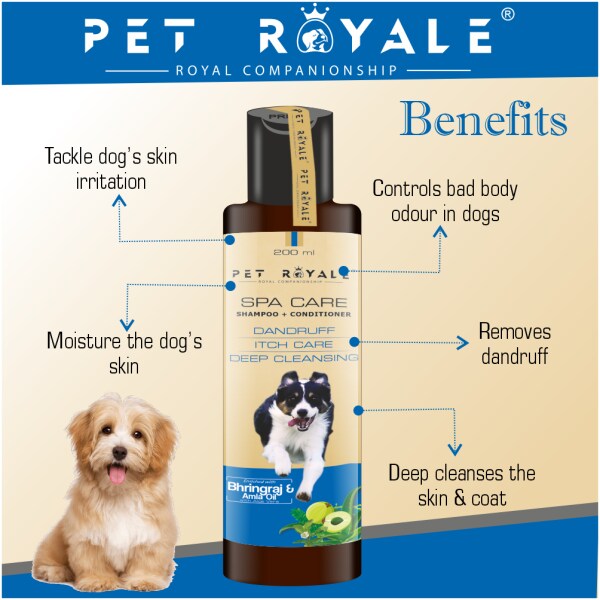 essential oils for dog dandruff