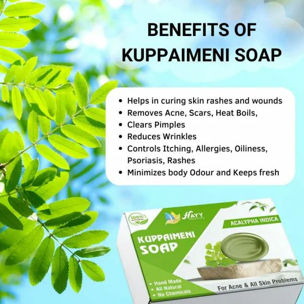 HayyFoods Handmade Herbal Kuppaimeni Bath Soap - (Acalypha Indica) - 300g  (Pack of 3) - JioMart