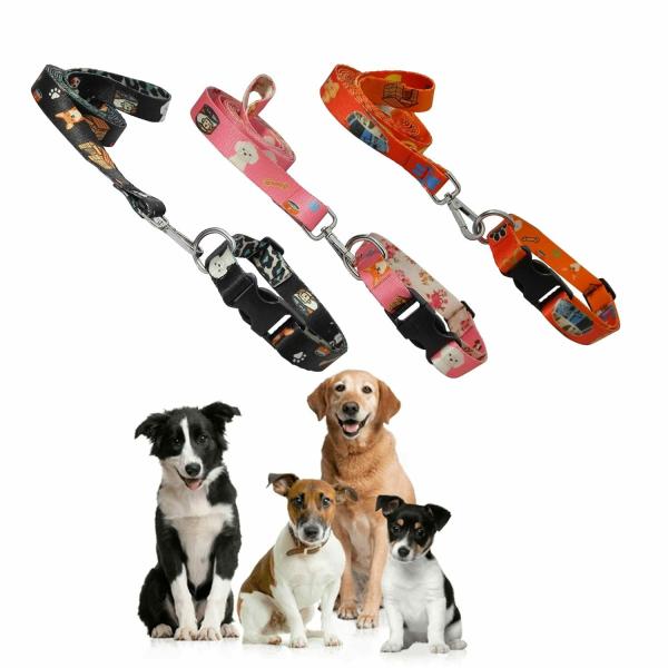 Jainsons Pet Products Dog and Cat Nylon Collar & Leash Set 12mm for