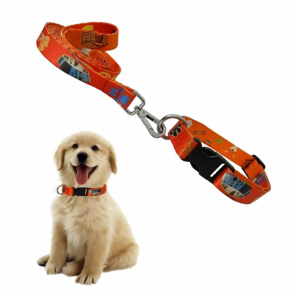 Jainsons Pet Products Dog and Cat Nylon Collar & Leash Set 12mm for