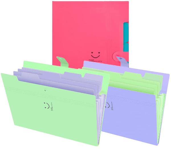Corslet Multicolor Plastic Expanding File Folder for Documents A4 Size
