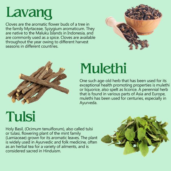 SBS GKof Syrup All Natural Ayurvedic Cough Syrup For Sore Throat And