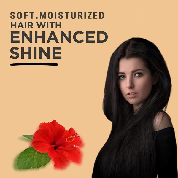 Seyal Hibiscus Hair Oil For Hair Growth And Hair Fall Control With Hibiscus  Flowers, Castor Oil, Blackseed Oil, 250 Ml - JioMart