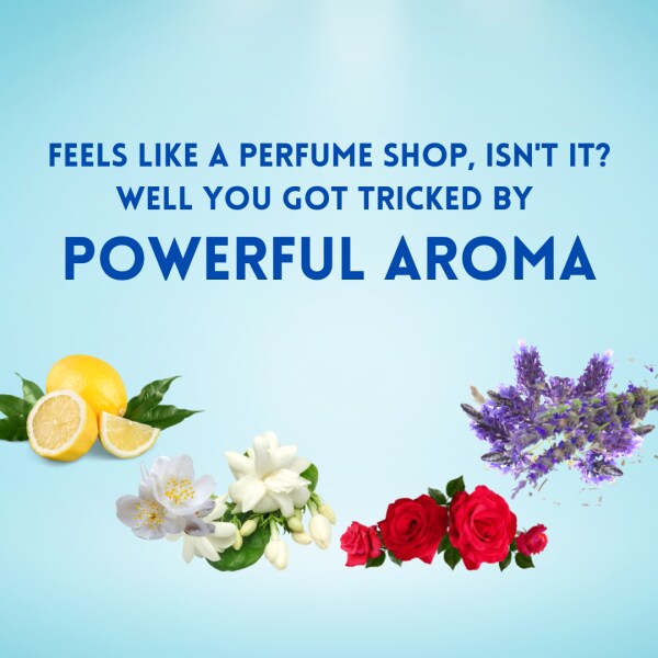 MarkoSafe Lavender Air freshener, Urinal Cubes, Sani cube for Toilets