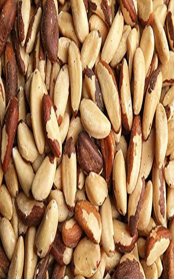 Herbanuts Brazil Nuts High Protein and Dietary Fiber 1 kg JioMart