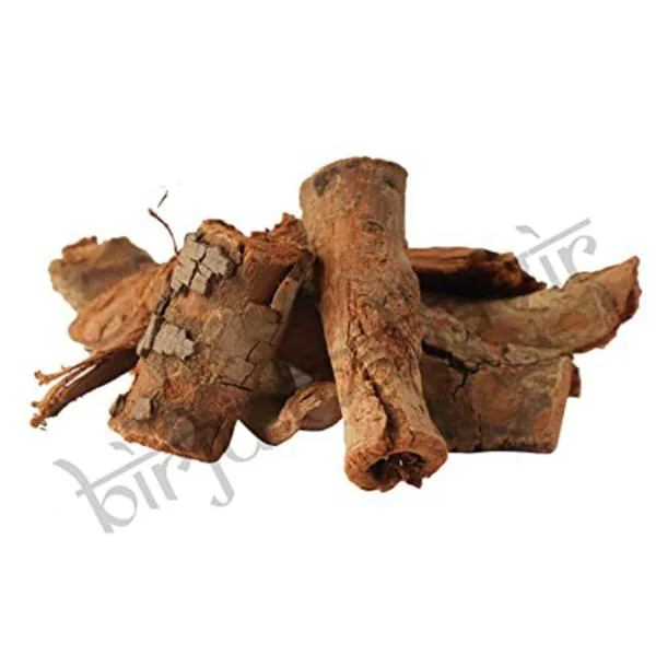 BrijBooti Ashok Chaal Ashoka Bark Saraca Ashoka Bark Ashok Tree