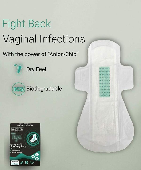 Women's Theory Biodegradable Sanitary pad 280mm regular size heavy flow & sensitive skin 30